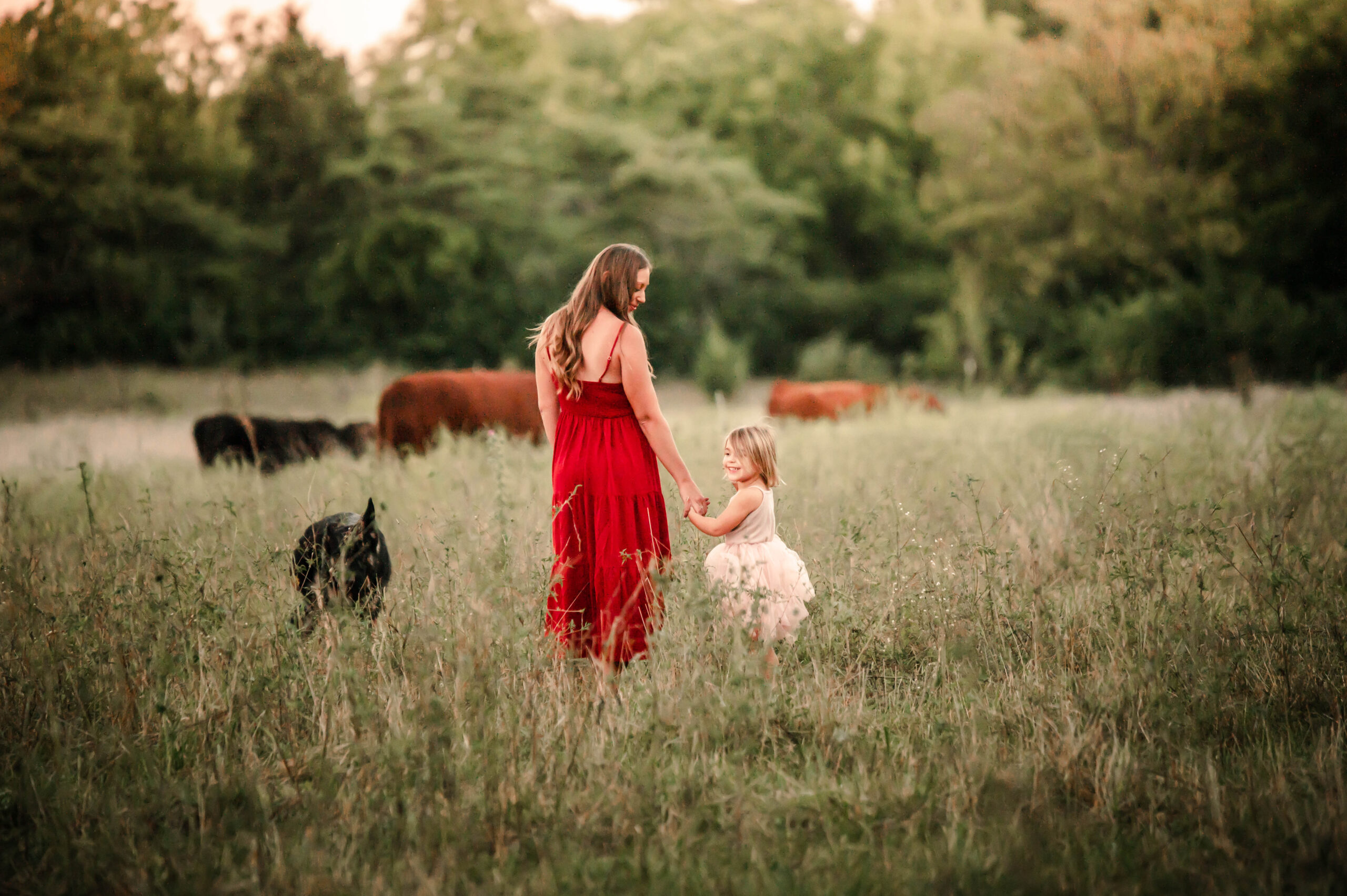 Mom in a red gown and daughter in a pink dress with tutu holding hands in a farm field with cows